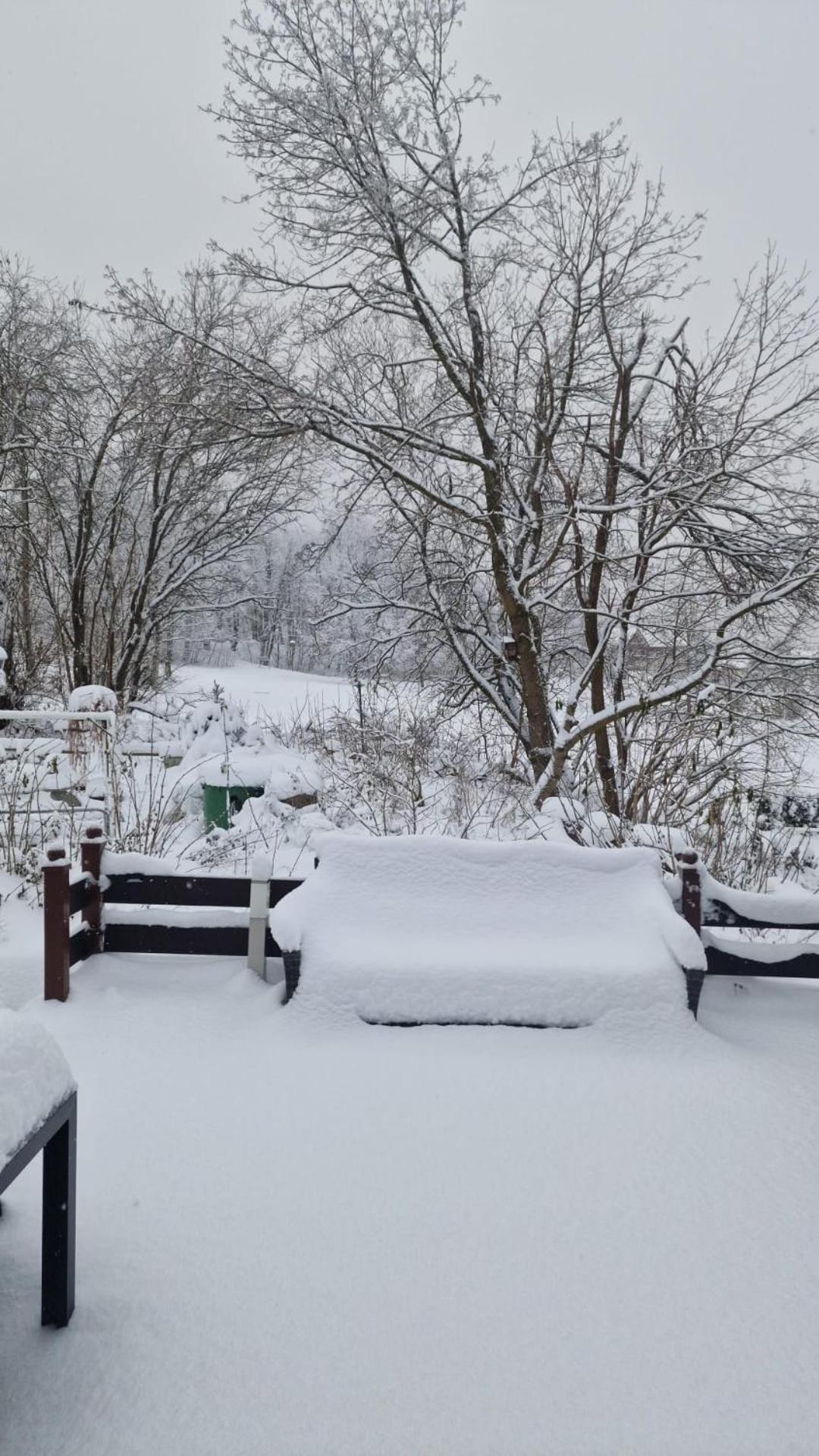 Mikes Fewo Braunlage Εξωτερικό φωτογραφία